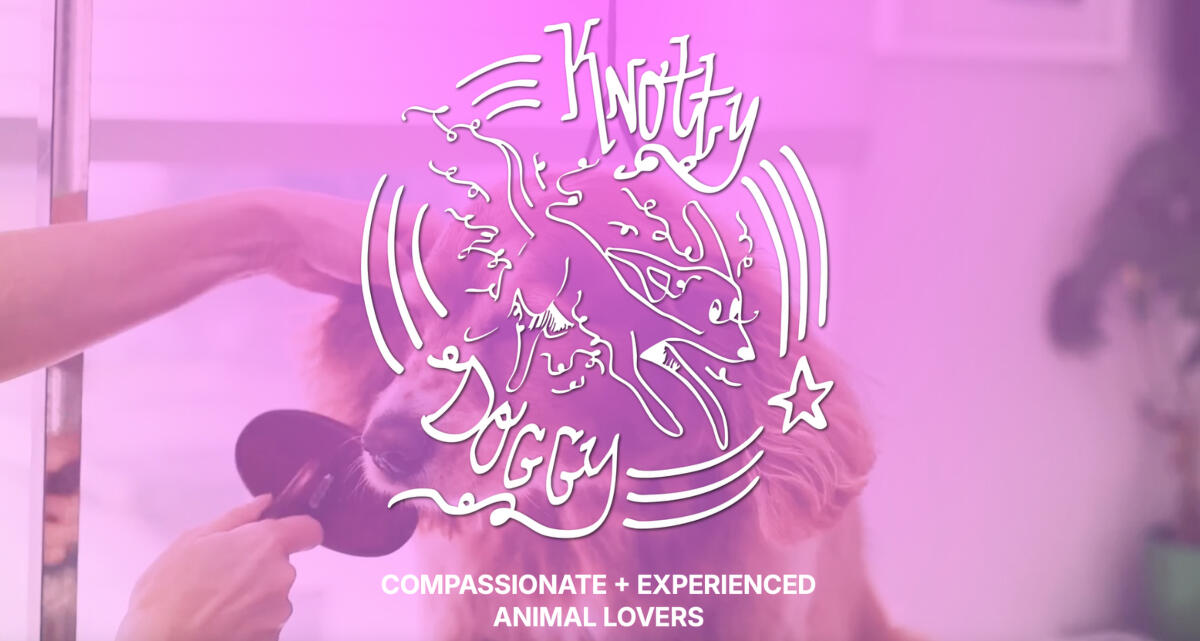 Knotty Doggy Bath House - image 1